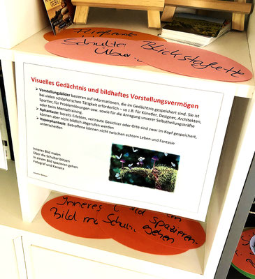 Visuelles Gedächtnis und bildhaftes Vorstellungsvermögen