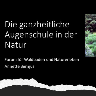 Präsentation mit vielen interessanten Wissensanteilen (Teilnehmer:innen erhalten die PDF davon)