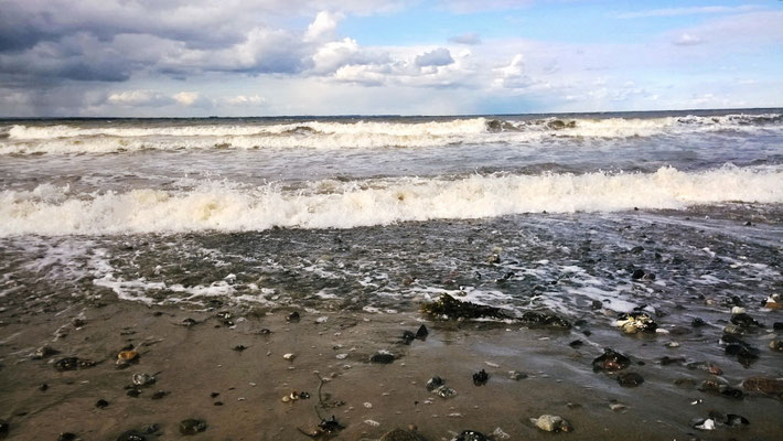 Auch im Winter lockt der Strand zu einem Spaziergang!