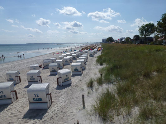Strandkörbe auf dem feinen Sandstrand