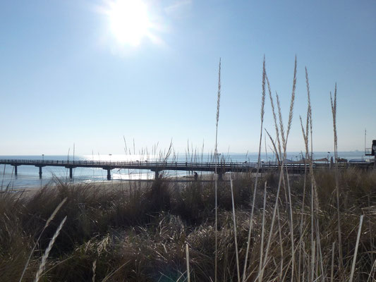 Strand in Scharbeutz mit der Seebrücke im Hintergrund