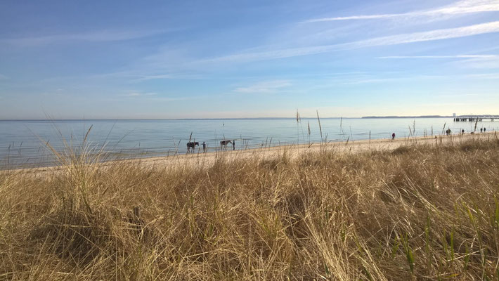 Reiten am Strand