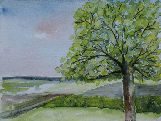 WVZ 313 2014 Baum am Weg Aquarell 24x32