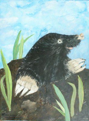 WVZ 271 2013 Grabowski Acryl 30x40
