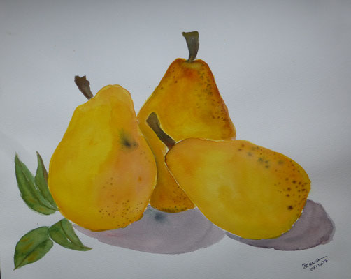 WVZ 480 2017 Birnen Aquarell 40x50