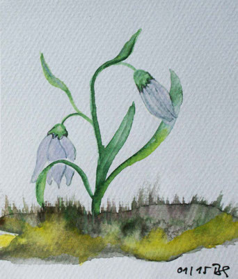 WVZ 357 2015 Schneeglöckchen Aquarell 12x14