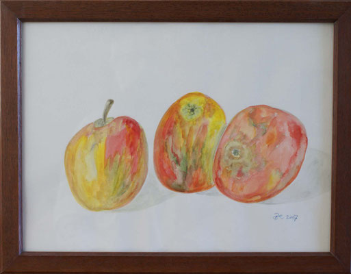 WVZ 091 2007 Drei Äpfel Aquarell 30x40