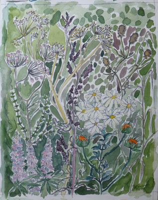 WVZ 532 2019 Wildblumen II Aquarell 33x38
