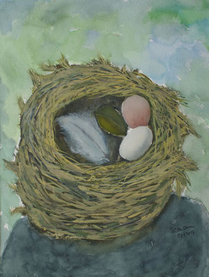WVZ 467 2017 Zwei Eier im Nest Aquarell 43x49