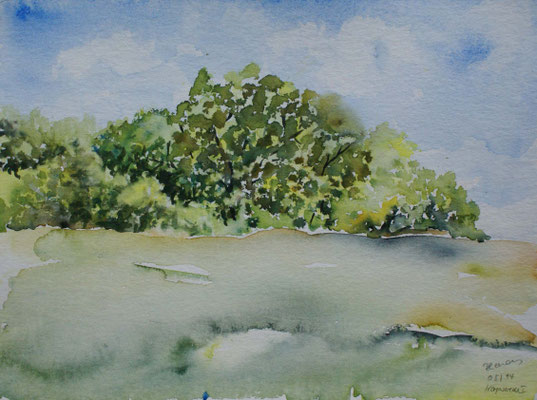 WVZ 315 2014 Bäume bei Worpswede Aquarell 24x32 8
