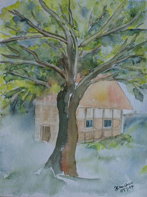 WVZ 314 2014 Baum vor Fachwerkhaus in Fischerhude Aquarell 24x32