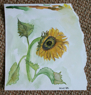 WVZ 355 2015 Sonnenblume Aquarell 20x21