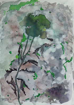WVZ 539B 2019 grüner Mohn Aquarell Gouache ger