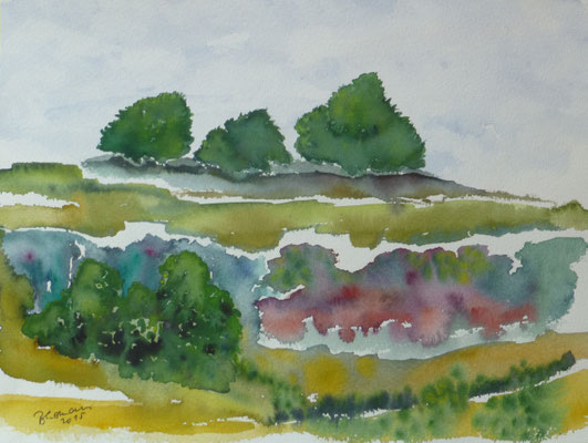 WVZ 375B 2015 Landschaft im Nebel Aquarell 37x28