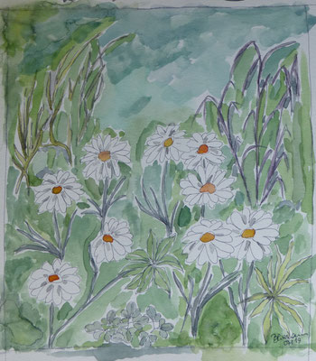 WVZ 536 2019 Wilde Margariten und Gräser Aquarell 30x35