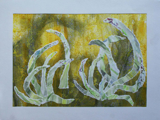 WVZ 108 2007 Pflanzen Collage 24x32