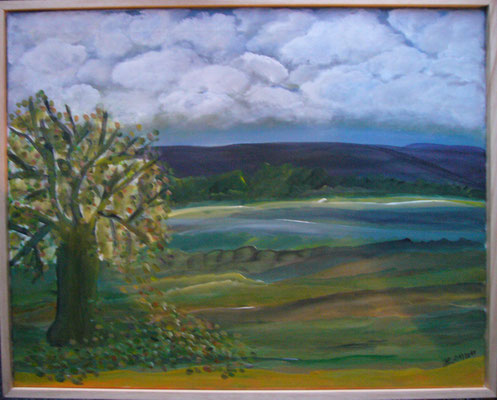WVZ 156 2011 Im Südhessischen Bergland Acryl 40x50