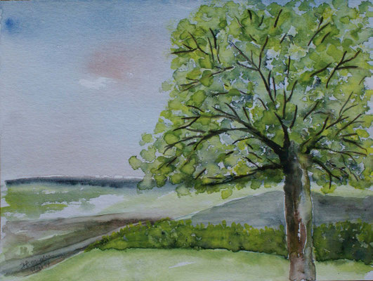 WVZ 313 2014 Baum am Weg Aquarell 24x32