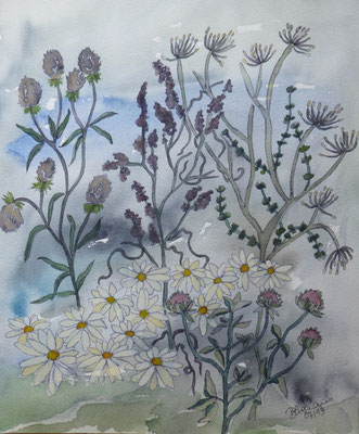 WVZ 535 2019 Wildblumen V Aquarell 30x40 