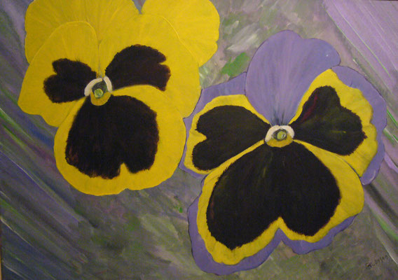WVZ 173 2011 Stiefmütterchen Acryl 50x70