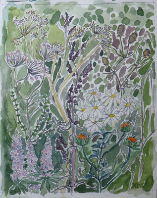 WVZ 532 2019 Wildblumen II Aquarell 33x38 € 60