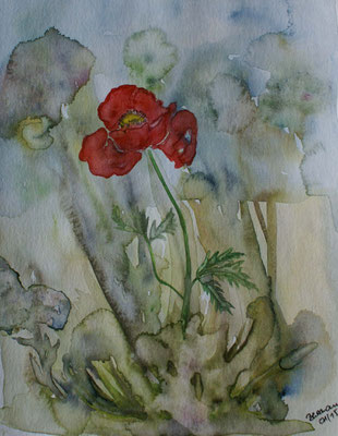 WVZ 359 2015 Mohnblüte 1 Aquarell 24x32