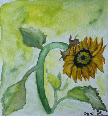 WVZ 355 2015 Sonnenblume Aquarell 20x21