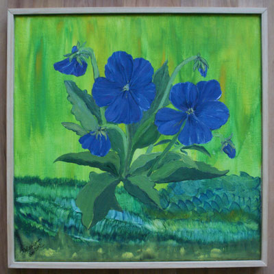 WVZ 231A 2012 11 004 Blaue Stiefmütterchen Acryl 40x40 unverkäuflich