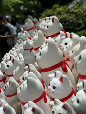 * Gotokuji Temple, famous for its huge number of Maneki-neko