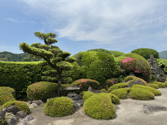 * Beautifully landscaped gardens