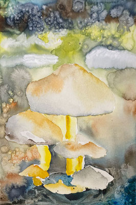 "Pilze", Aquarell auf Bütten, 19 x 28 cm, 1/24,