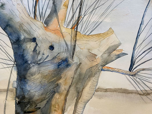"Schweine-Weide", Aquarell auf Bütten, 32 x 24 cm, 1/24,