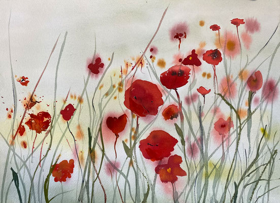 "Mohn", Aquarell auf Bütten, 36 x 26 cm, 1/24,