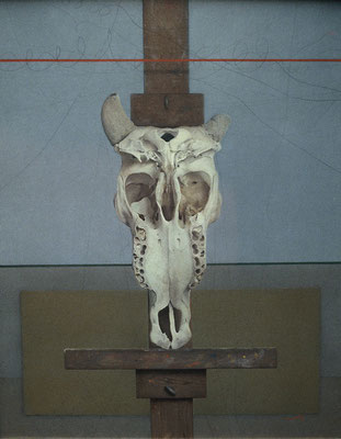 Cow‘s Head, 1979 <br> Oil on Linen, 18x24in (46x61cm) <br> Private Collection, Chicago