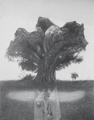 Magical Tree, 1976 <br> Graphite on paper, 13x11in (33x28cm) <br> Private Collection, Bogotá