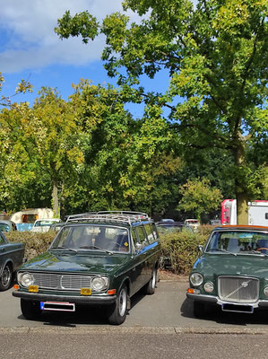 Volvo 140er und 160 Serie in Dunkelgrün