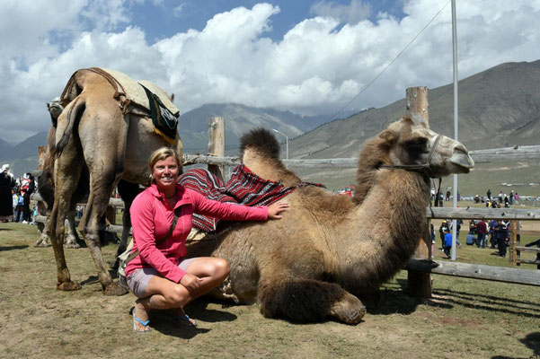 Kamel mit zwei Höckern - haben wir leider nicht allzuviele in Zentralasien gesehen