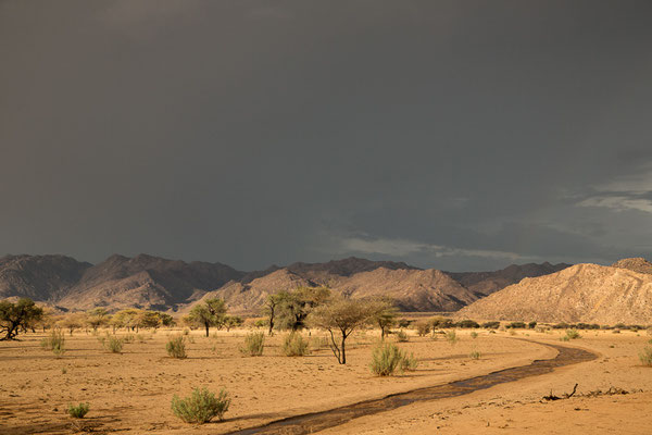 Ababis Guestfarm © Ria Henning-Lohmann