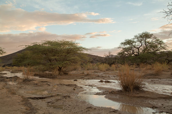 Ababis Guestfarm © Ria Henning-Lohmann