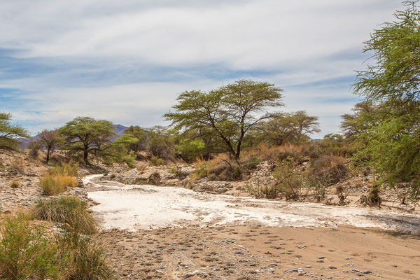 The river comes down - Ababis Guestfarm © Ria Henning-Lohmann