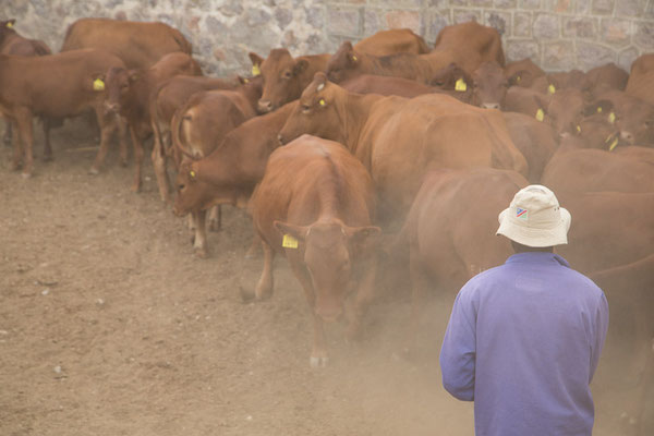 Ababis Guestfarm © Ria Henning-Lohmann