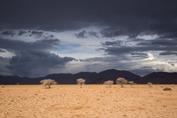 May there be some rain? - Ababis Guestfarm © Ria Henning-Lohmann