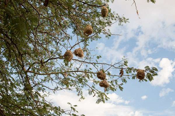 Ababis Guestfarm © Ria Henning-Lohmann