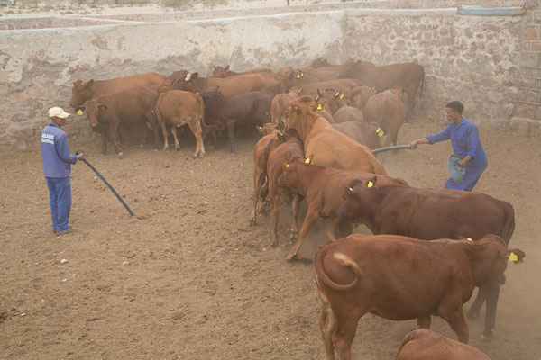 Ababis Guestfarm © Ria Henning-Lohmann