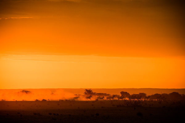 Ababis Guestfarm © Ria Henning-Lohmann