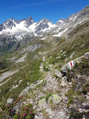 auf dem Höhenweg