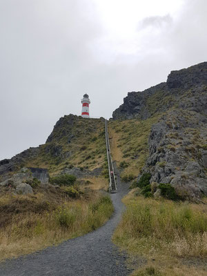 Cape Palliser