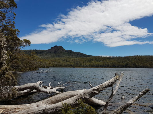 Shadow Lake