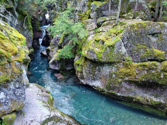 Wanderung zum Avalanche Lake
