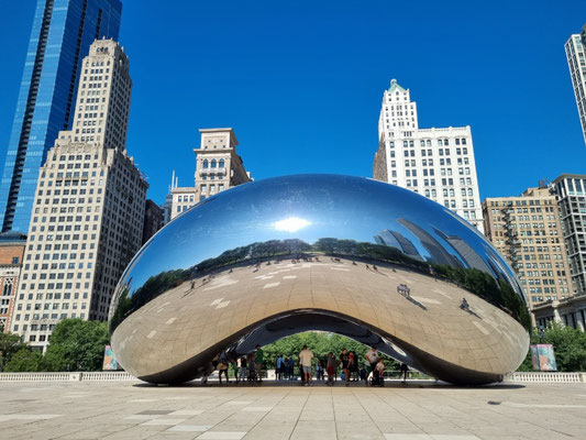 The Bean